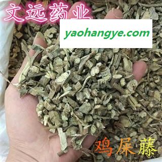 鸡屎藤  鸡矢藤 产地 湖北省图1
