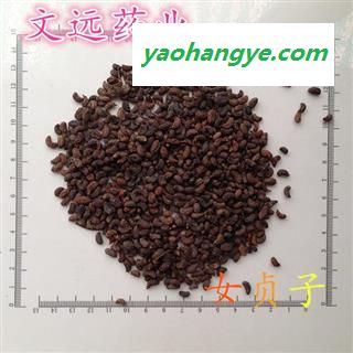 女贞子 腰果统装 产地 河南省南阳市宛城区图1