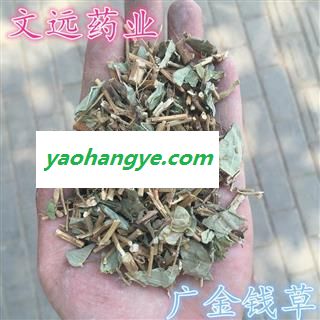 金钱草 统装 广金钱草 产地 广西壮族自治区防城港市市辖区图1