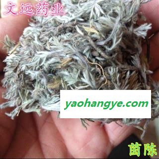 茵陈 茵陈 选,绵茵陈,新鲜货, 批发各种规格名贵药材 产地 河南省南阳市市辖区图1
