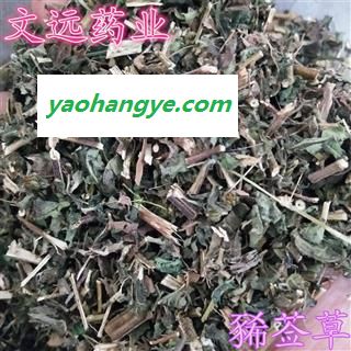 豨莶草 统 豨签草 产地 河南省图1