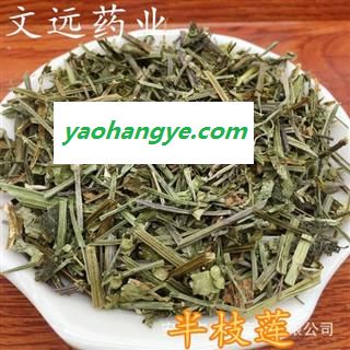 半枝莲 选片 青色 产地 河南省南阳市市辖区图1