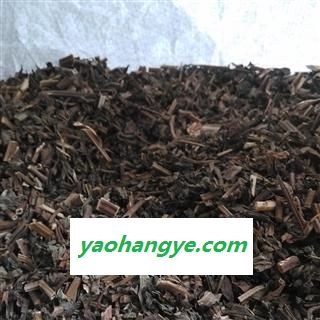 薄荷 统图1