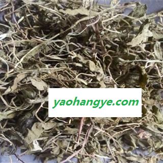 一支箭 统 产地 贵州省图1