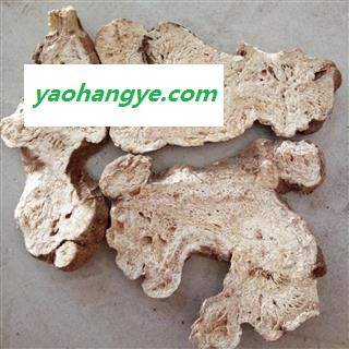 白术 选装大片 三年生白术 产地 安徽省图1