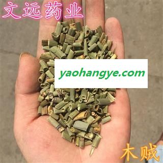 木贼 青绿色 好统 木贼草 产地 黑龙江省图1