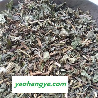 败酱草   败酱草  臭败酱 产地 河南省图1