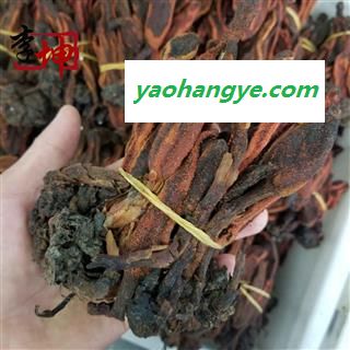 【包邮】回心草 回春草 小个统货 产地 云南省图1