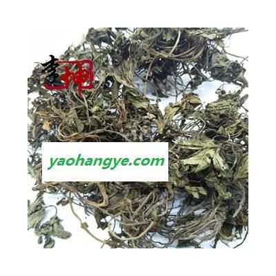 【99包邮】肺筋草 统货(1kg) 四川产 肺心草 肺金草