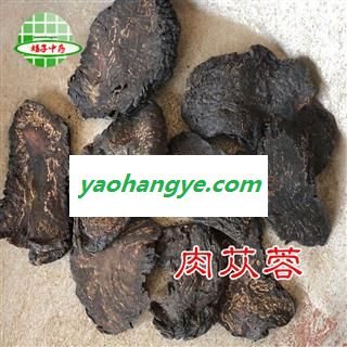肉苁蓉 软质菊花心肉苁蓉 大选片 产地 新疆维吾尔自治区 买好药找娟子图1