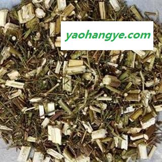 青蒿 统 产地 山东省 国药堂 专注品质图1