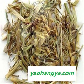 小丽百草行中药材萹蓄图1