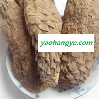 肉苁蓉 统  硬大芸 纯干 全部大个产地 新疆维吾尔自治区图1