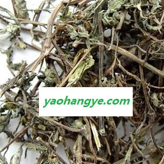 莲蓬草 正品保证质量7天无理由退货退款 中药材批发 丽丽药业图1