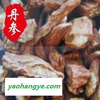 丹参 薄片统 产地 山东省图1