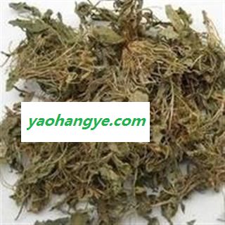 小丽百草行中药材  地丁 甜地丁 紫花地丁 大货图1