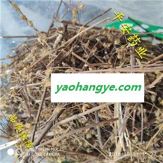 平安药业 锦地罗 落地金钱 金钱吊芙蓉 一朵芙蓉花 正品 促销图1