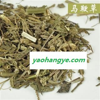 马鞭草 统装 产地 河南省图1
