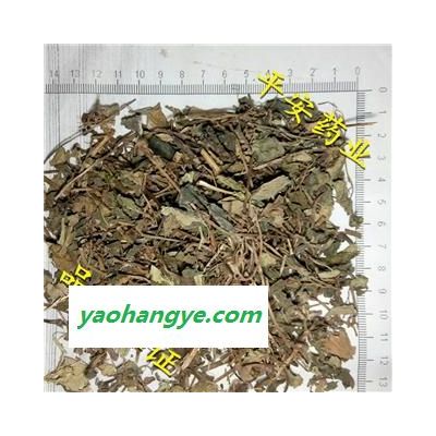 平安药业 小叶金钱草 别称 过路黄 对座草 路边黄 遍地黄 铜钱草 一串钱 落地金钱 钱芊金