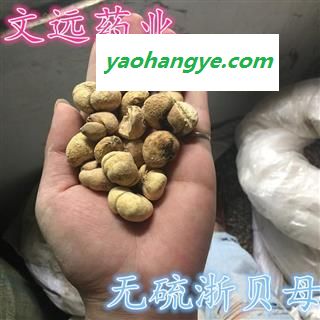 浙贝母 贝母 无硫 浙贝母 产地 浙江省金华市市辖区图1