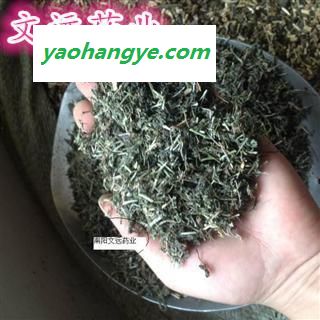 白花蛇舌草 小花白花蛇草 八仙草 猪央央  猪殃殃 产地 安徽省亳州市亳州药市图1