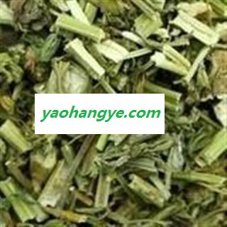益母草 统 产地 山东省 国药堂 专注品质图1