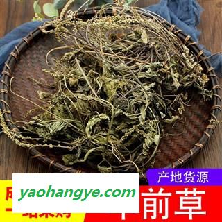 【99包邮】车前草 统段 产地 四川省图1
