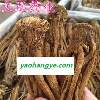 当归 大统 选 全当归  当归个 产地 甘肃省图1