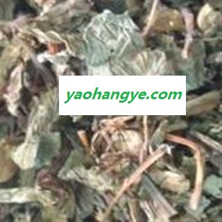 鱼腥草 家种鱼腥草统段 纯净 产地 四川省图1