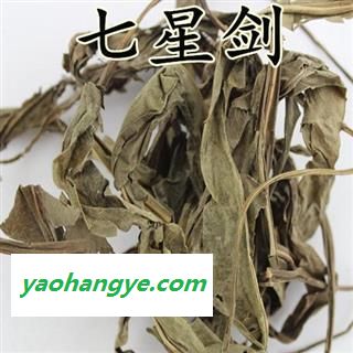 小丽百草行七星剑 野香薷产地 河南货图1