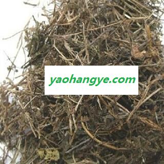吉康药业猪殃殃 拉拉藤 锯锯藤 细叶茜草 锯子草 小锯子草 活血草 小禾镰草 锯耳草图1