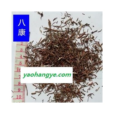 茜草 01细条 统