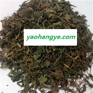 绞股蓝 药用绞股蓝统货 产地 安徽省 国药堂 专注品质图1