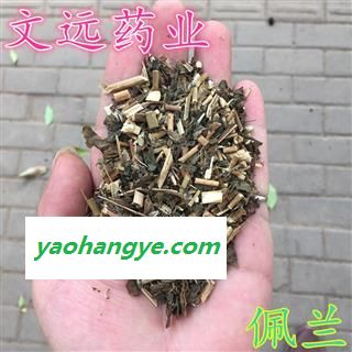 佩兰 选片 产地 安徽省图1