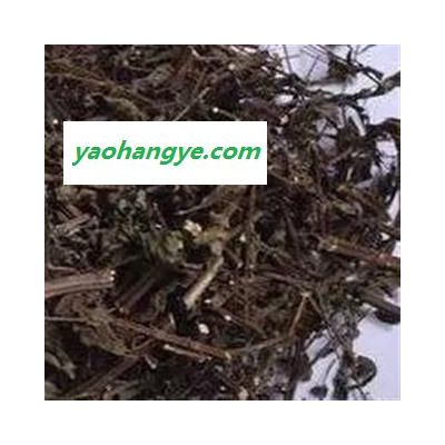 小丽百草行溪黄草 过筛 溪沟草 山羊面 熊草 血风草 黄汁草 溪沟草 香茶菜