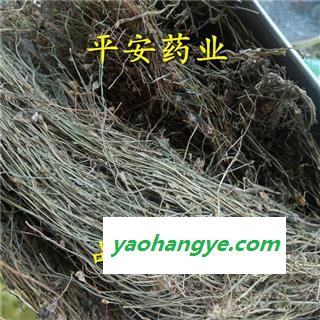 平安药业 兰花参 土参 蓝花参 蓝花草 金线吊葫芦 正品图1