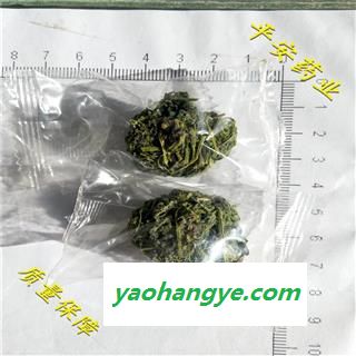 平安药业 龙珠绞股蓝 顶级货 木糖醇 促销图1