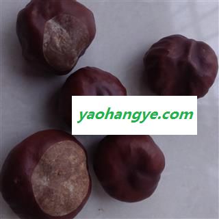 灵吉药业 娑罗子 别名苏罗子、棱罗子、开心果 批发各类中药材花茶图1