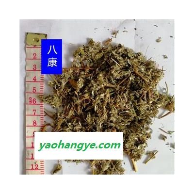 翻白草 01统