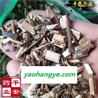 败酱草 黄花败酱 龙芽败酱 黄花龙牙 臭败酱草图1