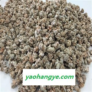 三七 三七80头 产地 云南省文山壮族苗族自治州图1