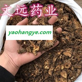 羌活 甘肃种植 羌活  统 过筛子 产地 甘肃省图1