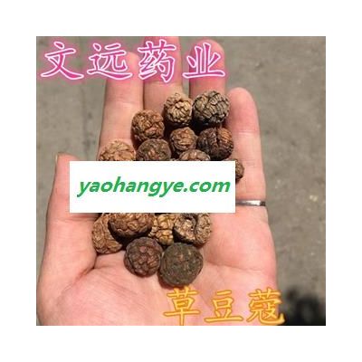 草豆蔻 草豆蔻 统 批发各种规格名贵药材 产地 广西壮族自治区