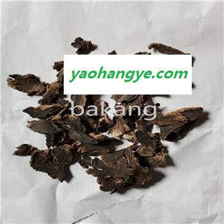 玄参 02片 元参 产地 湖北省图1