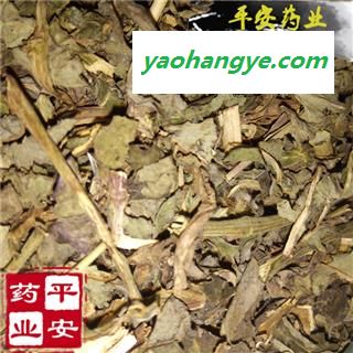 平安药业 败酱草 败将草图1
