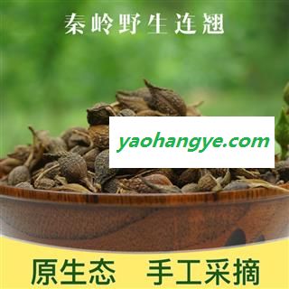 秦岭盛达中药材深山野生连翘 贯叶连翘 正品中药材 连翘茶500g图1