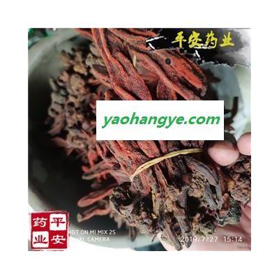 回春草 野0.5kg价格 草苁蓉 顶天柱 不老草 回春草 壮阳草 不老根 文王一支笔