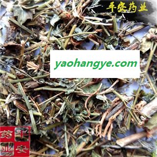 平安药业 田基黄 地耳草 香草 雀舌草 蛇查口 跌水草 寸金草图1
