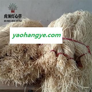科沃灯心草 灯心草齐草 灯心草扎把 吸潮防尘 80-120-150CM 海绵状结构吸潮 万亩灯心草种植基地直供图1