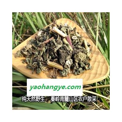 豨签草 秦岭野生稀签草中药豨签草 秦岭野生稀签草中药材豨签草干货纯天然无硫豨签草500g